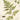 Botanical Art Print Feeling
