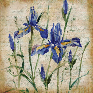 Feeling at Home Poetic Garden IV floral canvas art print by Brent Paul, featuring vibrant botanical artwork on canvas.
