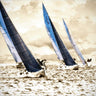 Racing Waters II coastal canvas art print by Hausenflock Alan, vibrant ocean scene with waves and sky, Feeling at Home brand