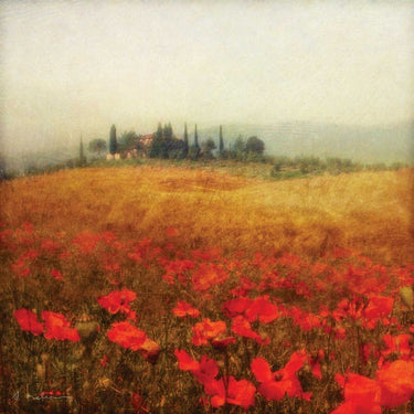 European canvas art print featuring vibrant Tuscan poppies by Melious Amy, with warm, colorful floral design for home decor.