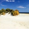 Assateague Beach III coastal canvas art print by Hausenflock Alan, featuring serene beach scene with sand dunes and ocean views.