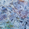 Abstract canvas art print featuring icy formations by Feeling at Home, created by Mahan Kathy, showcasing cool, textured ice-inspired artwork.