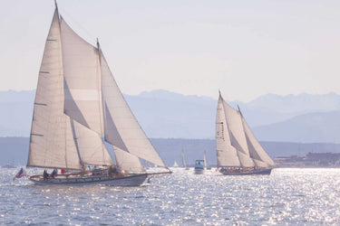 Coastal canvas art print featuring Port Townsend Boats II by Mahan Kathy, showcasing vibrant maritime scene in a natural setting.