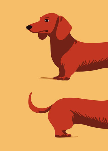 Dachshund animals canvas art print by Magnusson Andreas featuring a detailed, colorful illustration of playful dachshunds.