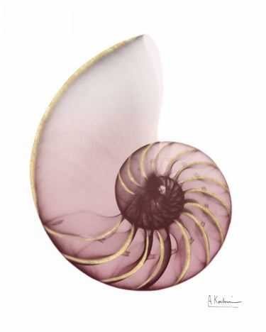 Shimmering Blush Snail coastal canvas art print by Koetsier Albert, vibrant and detailed nature-inspired wall decor from Feeling at Home.
