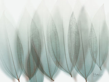 Unfocused Divergent 1 botanical canvas art print by Koetsier Albert, featuring abstract floral design on textured canvas.