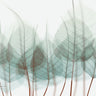 Unfocused Divergent 2 Botanical canvas art print by Koetsier Albert, featuring abstract floral design in vibrant colors.