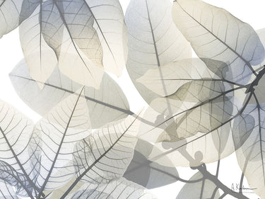 Botanical canvas art print titled Limitless Bunch V2 by Koetsier Albert, featuring vibrant floral design for home decor.