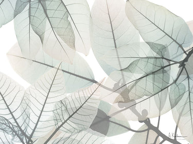 Limitless Bunch Botanical canvas art print by Koetsier Albert featuring vibrant, detailed botanical illustrations on a textured canvas.