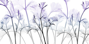 Amethyst Passion botanical canvas art print by Koetsier Albert featuring vibrant purple flowers and lush greenery.