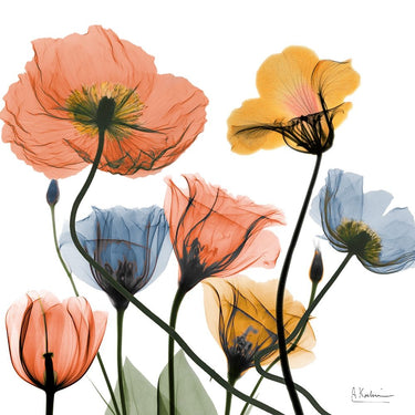 Feeling at home Blissful Garden 3 floral canvas art print by Koetsier Albert, featuring vibrant colorful flowers on a natural background.