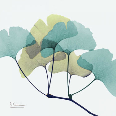 Gingko L140 floral canvas art print by Koetsier Albert, featuring vibrant botanical design, created by Feeling at Home.
