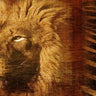 Colorful King of the Jungle animals canvas art print by Grey Jace, featuring vibrant jungle scene with lions and tropical wildlife.