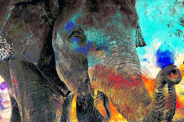 Feeling at Home True Colors Animals canvas art print by Allen Kimberly featuring colorful animal illustrations on textured canvas.