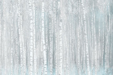 Birches botanical canvas art print by Allen Kimberly featuring a serene forest scene with birch trees for Feeling at Home collection