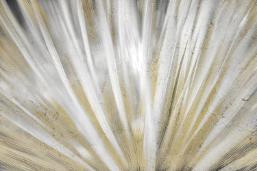 Abstract canvas art print featuring vibrant burst of color by Allen Kimberly for Feeling at Home, displayed on a wall.
