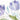 Purple Spring 1 floral canvas art print by Feeling at Home featuring vibrant spring blossoms in an artistic style.