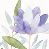 Purple Spring 2 floral canvas art print by Allen Kimberly, featuring vibrant spring flowers in a colorful, artistic design.
