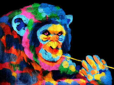 Feeling at Home Monkey Color Burst 1 abstract canvas art print featuring vibrant, colorful monkey and burst design on canvas.