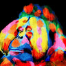 Feeling at Home Monkey Color Burst 2 abstract canvas art print by Prime Marcus featuring vibrant, colorful monkey-themed artwork.