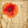 Feeling at home floral canvas art print featuring Poppy Script I by Greene Taylor with vibrant, artistic flower design on canvas.