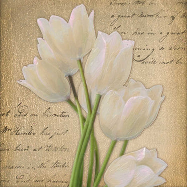 White tulip floral canvas art print by Greene Taylor featuring a white tulip on a gold background, created by Feeling at Home.