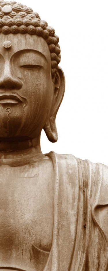 Feeling at Home Buddha II photography canvas art print by Maihara, Watt Jeff, and Boyce, featuring a serene Buddha figure on canvas.