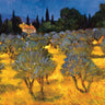 Feeling at Home Les Olives en Printemps landscape canvas art print by Craig Philip, featuring a vibrant olive tree scene.