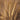 Wheat field nature canvas art print by Frank Assaf, depicting a peaceful rural landscape with golden wheat and blue sky.
