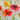 Happiness floral canvas art print by Fontaine Drako featuring vibrant, colorful flower illustrations on a textured canvas surface.