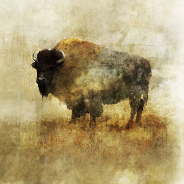 Peaceful Bison II animals canvas art print by Roko Ken featuring a serene bison scene in earthy tones.