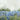 Feeling at Home Meadow Bluebells Field landscape art print by Pearce Allison, showcasing a vibrant bluebell flower scene on canvas.