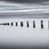 Coastal canvas art print of stilts and gulls by Tennant Chris, featuring beach scene with birds and ocean in natural colors.