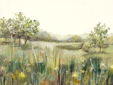 Feeling at Home Lush Meadow in Morning Light decorative canvas art print by Dawson Hannah, showcasing a vibrant nature scene.