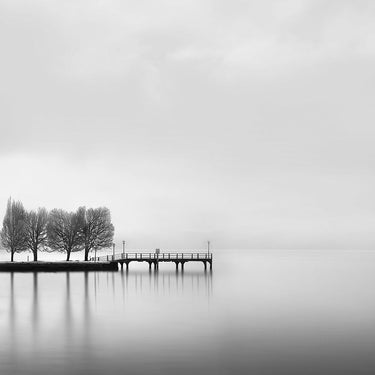 Coastal canvas art print "Pier with Trees II" by Feeling at Home, depicting a serene pier scene with trees in soft colors.