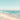 Feeling at home Sunlit Shoreline II coastal canvas art print by Lazar Studio showing a serene beach scene with soft sunlight and shoreline details.