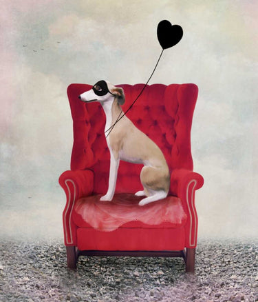 Feeling at home Heathcliffe Animals canvas art print featuring colorful animal illustrations on textured canvas surface.