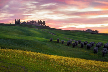 French country-style canvas art print titled Tuscany Palette by Artemiadi Dora, featuring warm, rustic landscape details.