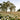 Oak Tree photography canvas art print by Blaustein Alan, featuring a detailed depiction of a majestic oak tree.