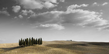 European canvas art print of Toscana landscape by PhotoINC Studio, featuring scenic rolling hills and vibrant countryside details.