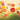 Sunlit poppies floral canvas art print by Feeling at Home featuring vibrant red and orange poppies on a light background.