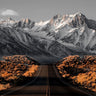 Landscape canvas art print titled The Road 1 by Feeling at Home, featuring a scenic depiction of a winding road through nature.