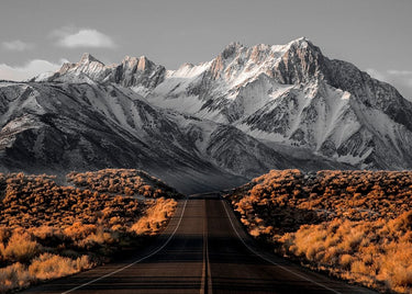 Landscape canvas art print titled The Road 1 by Feeling at Home, featuring a scenic depiction of a winding road through nature.
