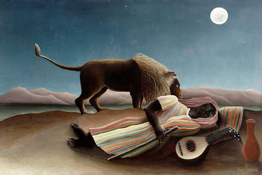 Feeling at home The Sleeping Gypsy 1897 animals canvas art print by Rousseau Henri showing a serene desert scene with animals.