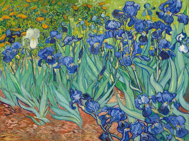 Van Gogh Irises 1889 floral canvas art print by Feeling at Home, featuring vibrant iris flowers in a detailed botanical design.