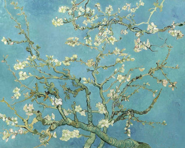 Feeling at Home floral canvas art print of Van Gogh's Almond Blossoms 1890, featuring delicate pastel almond tree branches.