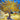 Feeling at home Van Gogh landscape canvas art print featuring The Mulberry Tree by Vincent Van Gogh.