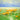 Feeling at Home floral canvas art print featuring a colorful field of flowers by Yeremyan Vahe.