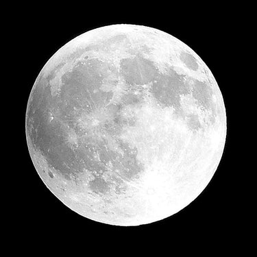 Feeling at Home Moon Phase I photography canvas art print by Peck Gail, featuring celestial moon phases on textured canvas.