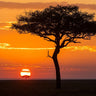 Feeling at home African Sunset II canvas art print by Jimmyz, vibrant sunset scene with warm colors and scenic landscape.